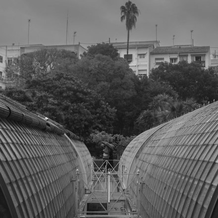 Hortus Botanicus