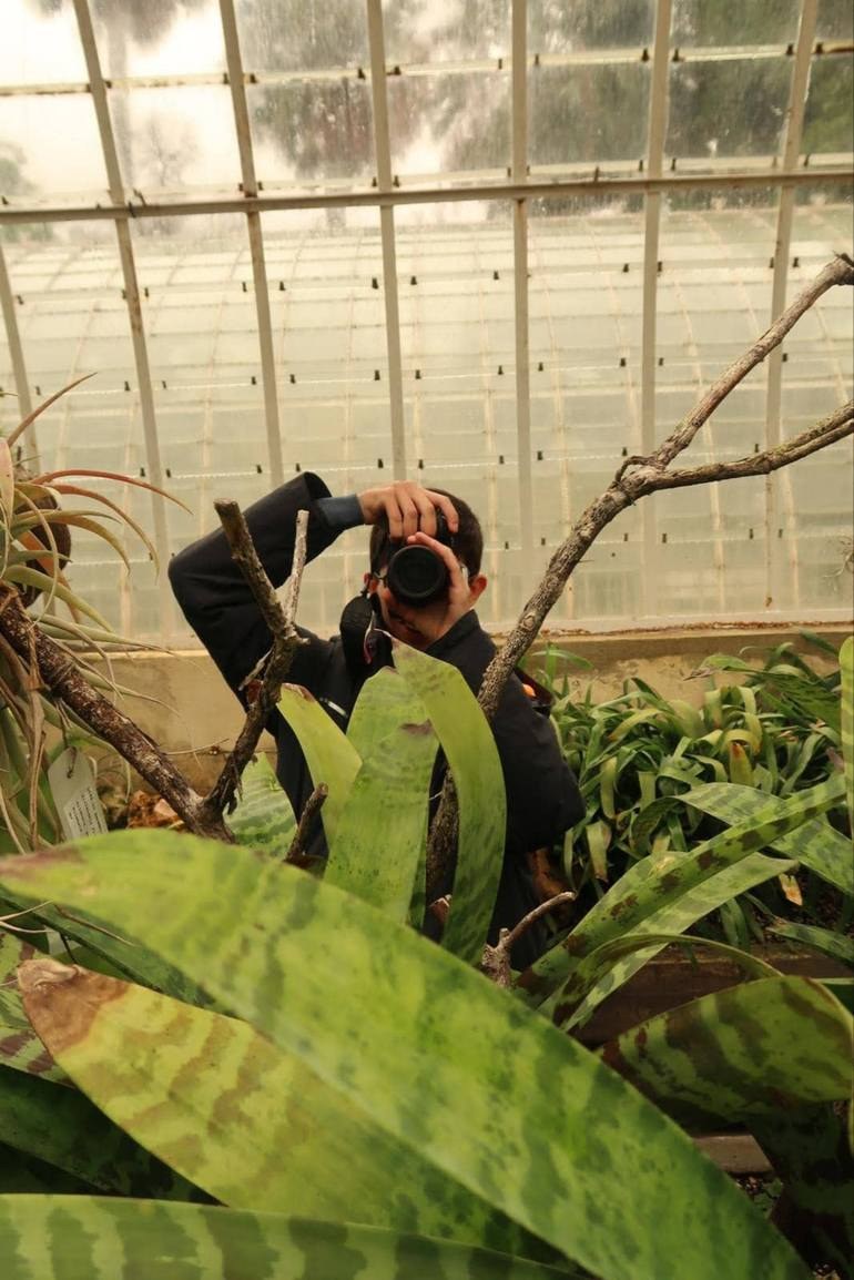 Hortus Botanicus — THALAMUS Editoriales